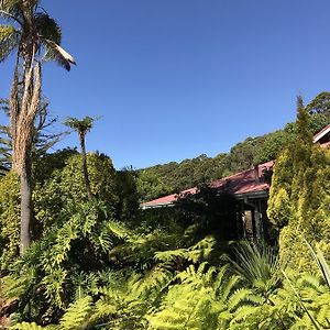 King Room Garden View